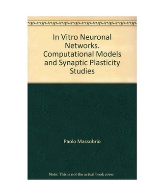 In Vitro Neuronal Networks. Computational Models and Synaptic Plasticity Studies