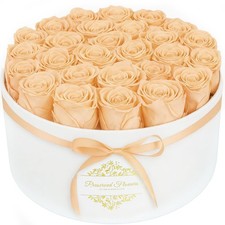 17 Forever Flowers in a Luxury Suede Box, Preserved Roses Birthday Gifts for ...
