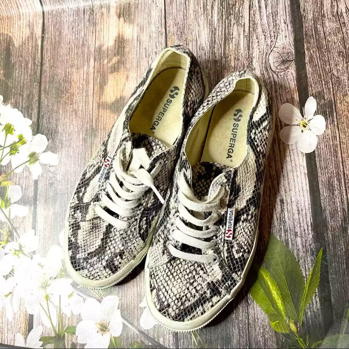 Ebay superga best sale