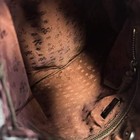 Foto 14 di 17