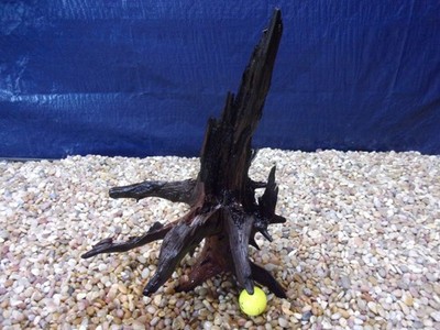 Large Driftwood 18''x11''x14''  Aquarium Terrarium Reptile Natural Art