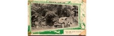 1950s Pennington Island Camp Truck Crossing Ford Postcard- Americana Ephemera
