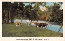 Millbrook Michigan Cow Pasture Scenic View Antique Postcard K40436