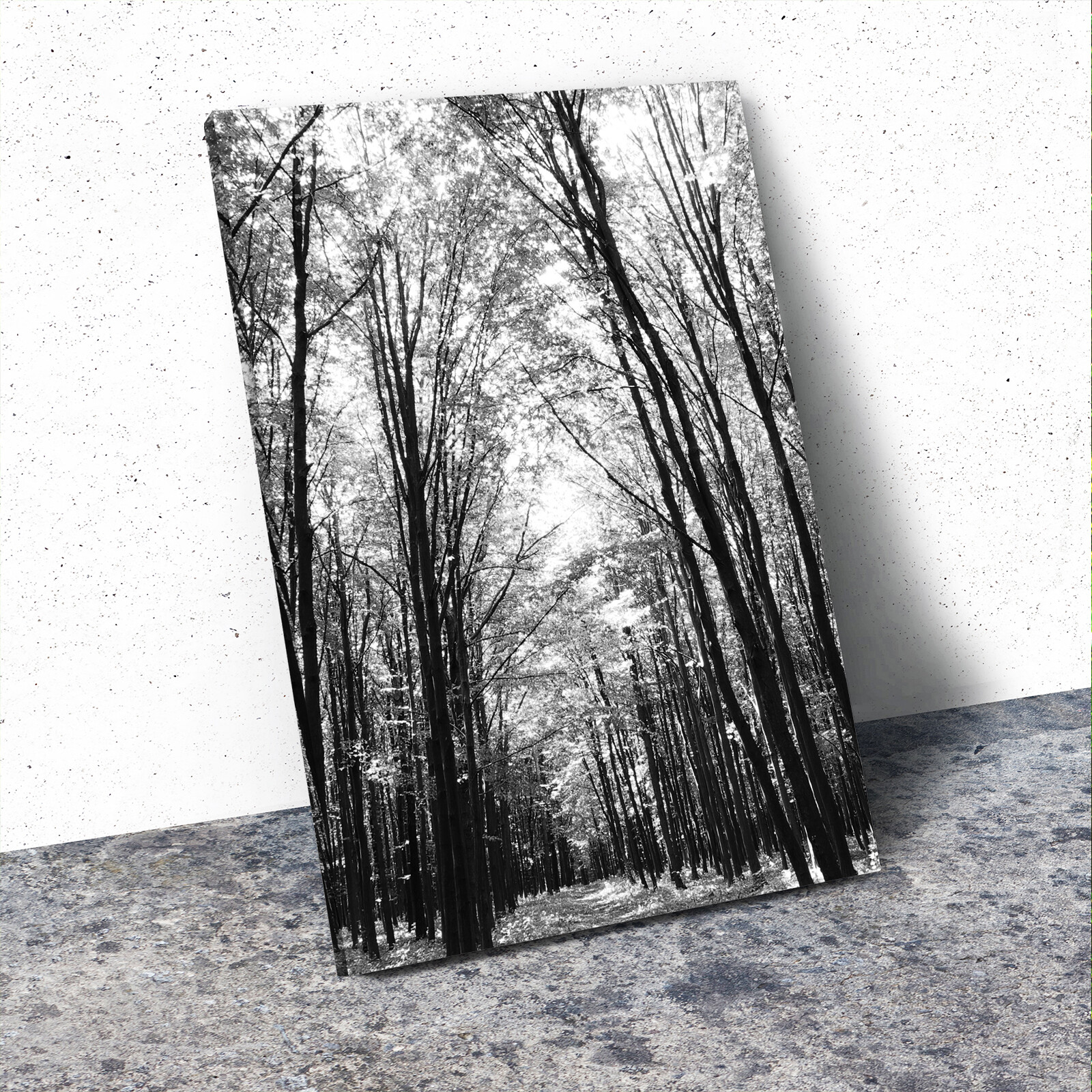 black and white nature artwork