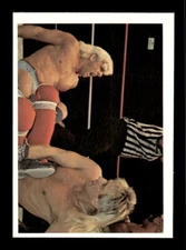 1988 Wonderama NWA #136a Ricky Morton vs. Ric Flair
