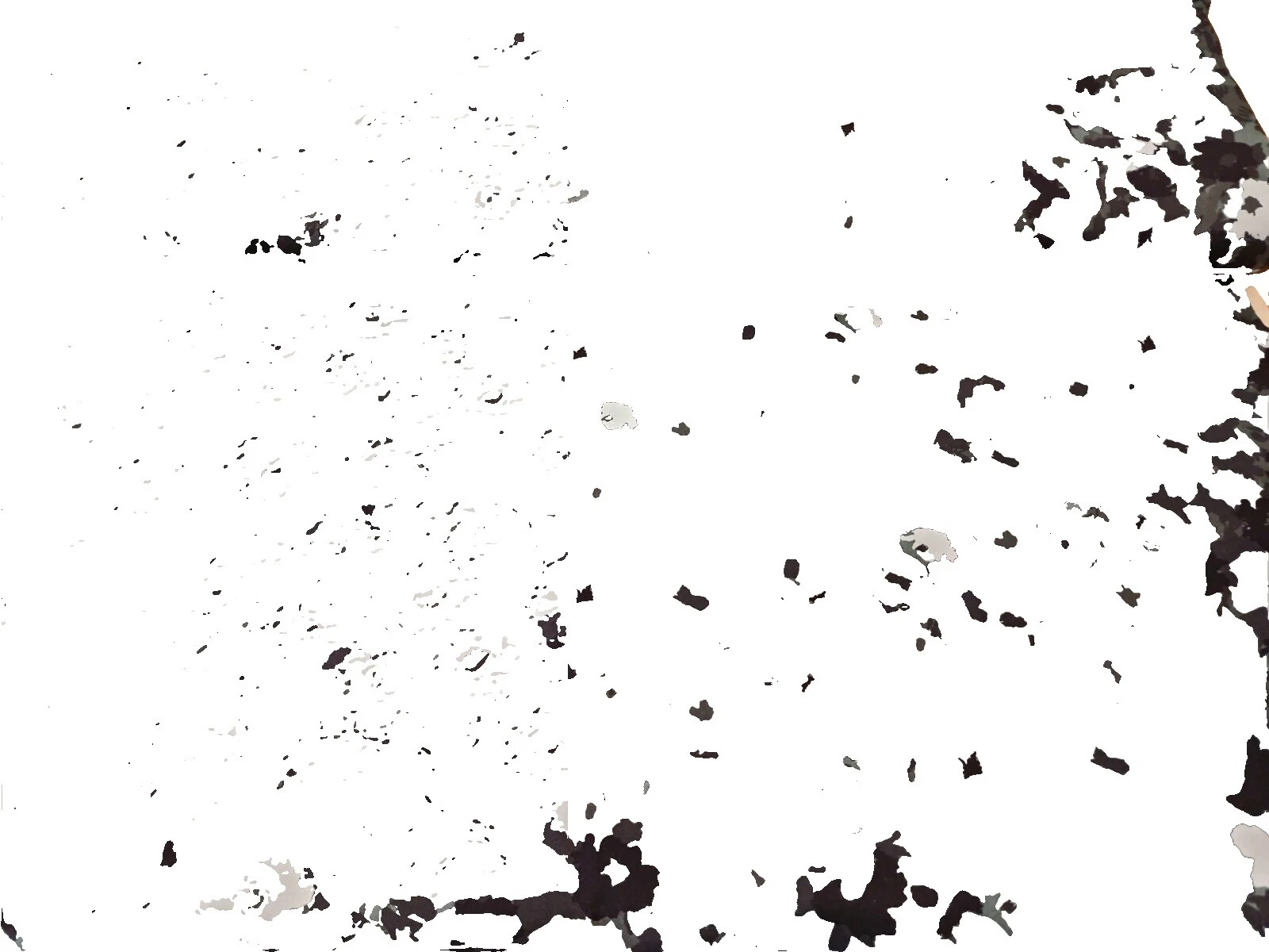 Ткань для рукоделия с цветочным рисунком Sateen