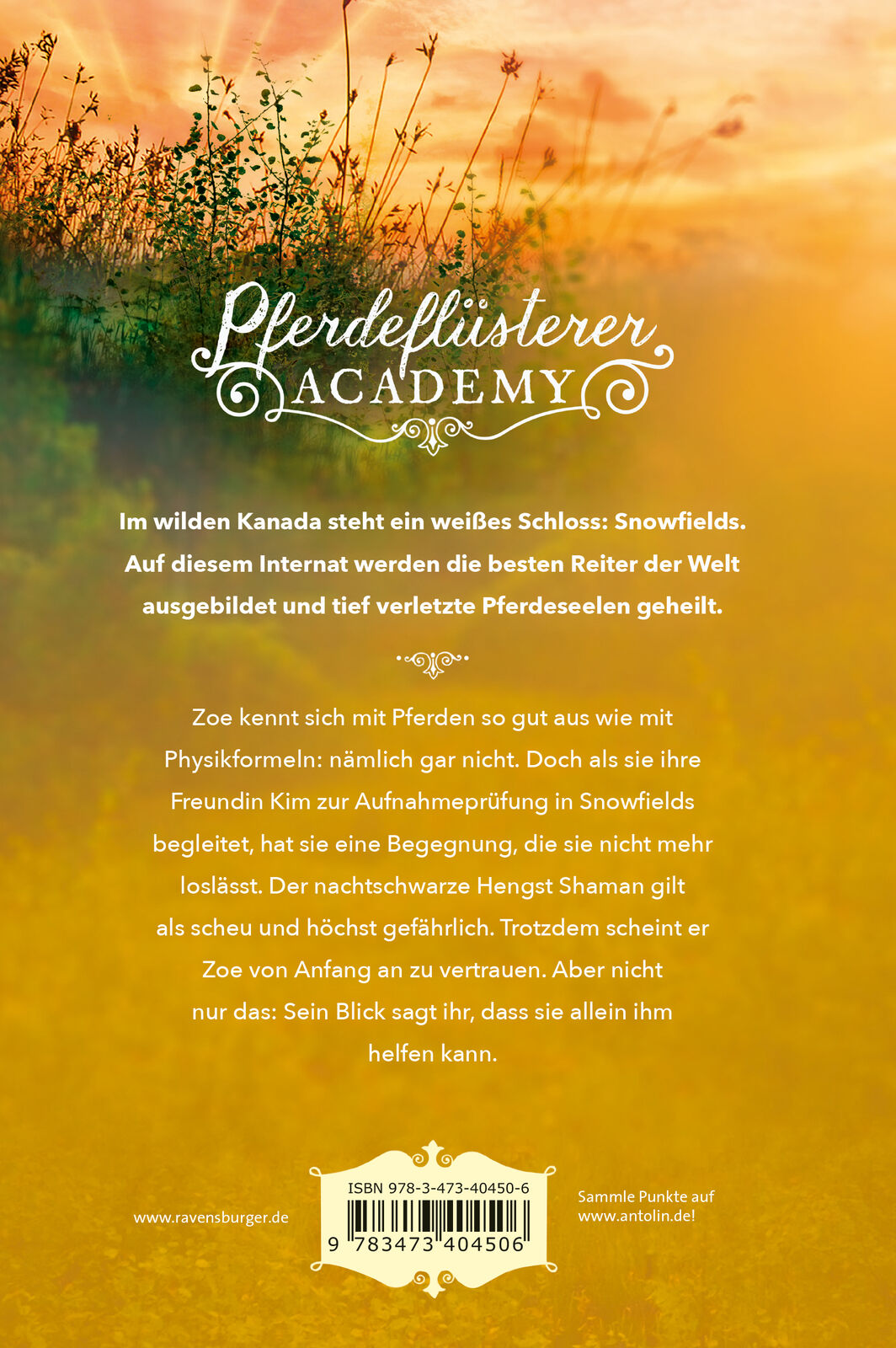 Thumbnail - Gina Mayer / Pferdeflüsterer-academy, Band 1: Reise Nach Snowfields