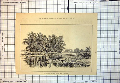 Old Thames Between Henley Wargrave Islands Trees Waterside Plants 248J