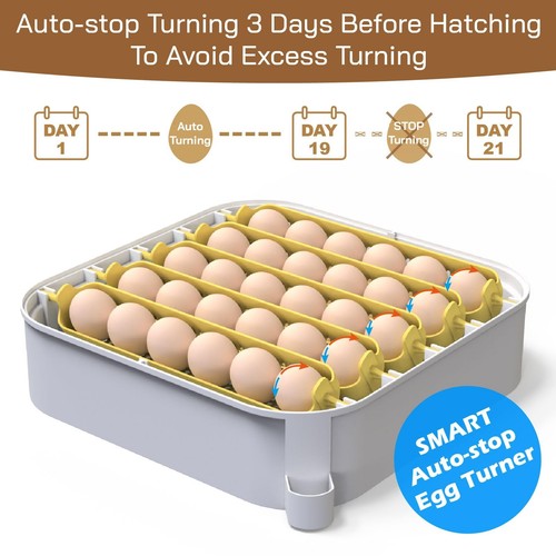 MATICOOPX 30 Eier Inkubator mit Feuchtigkeitsanzeige Eierkerze Automatisch Ei Tu - Bild 5 von 6