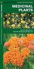 Medicinal Plants: A Folding Pocket Guide to Familiar Widespread Species by James Kavanagh (Pamphlet, 2002)