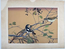 Japanese Woodblock Print “Narcissus Flycatcher and Privet”  Rakuzan Bird