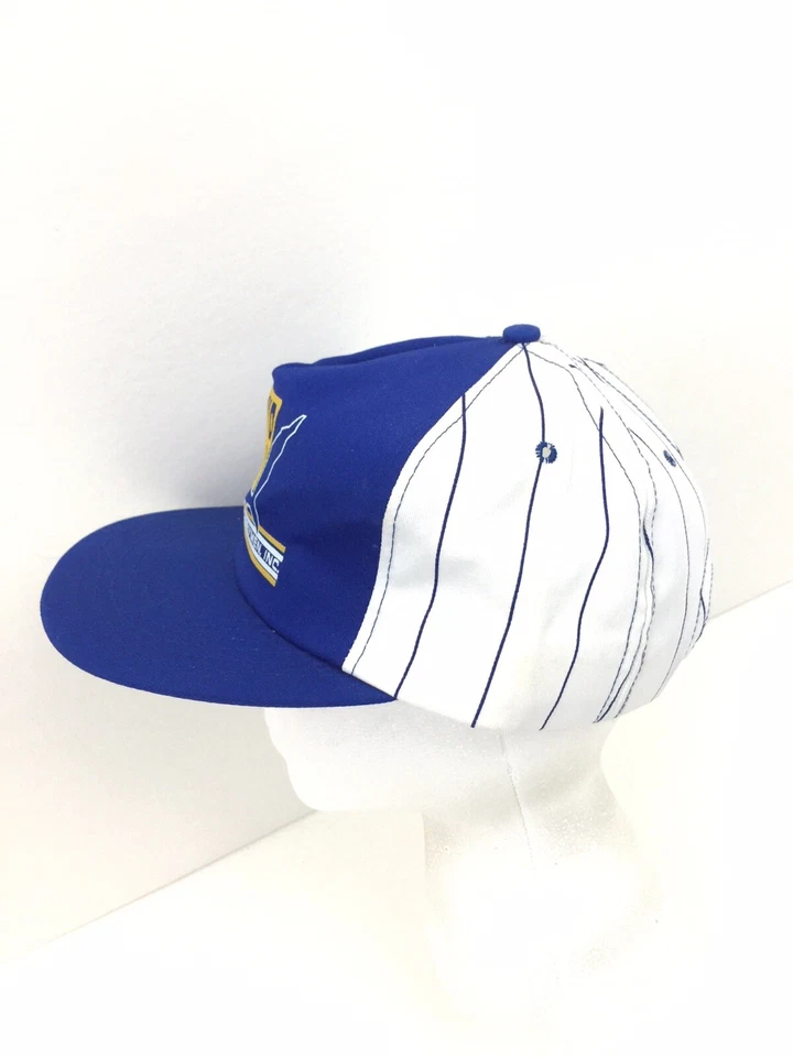 De colección Mid America Dairymen Sombrero Gorra a Rayas Mid Am Snapback Logo Camionero Béisbol Foto 2 de 4