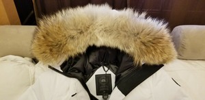 canada goose black label lorette