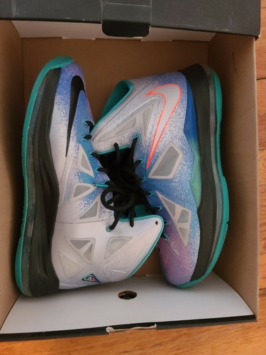lebron 10 platinum