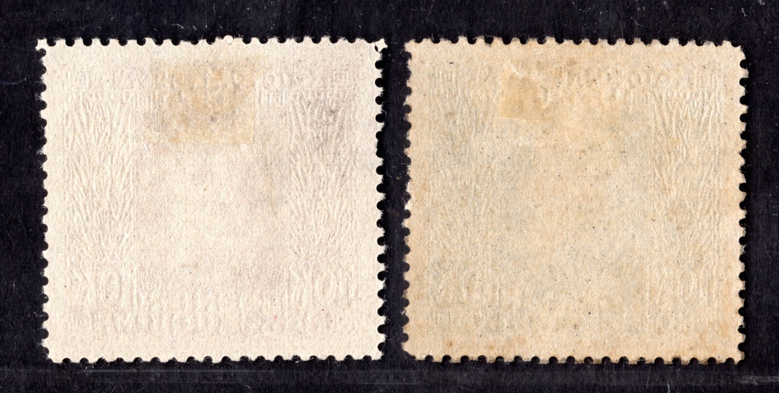 Foto 2 di 2