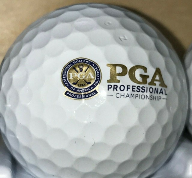 1 PGA Professional Championship Logo Golf Ball (H198) eBay