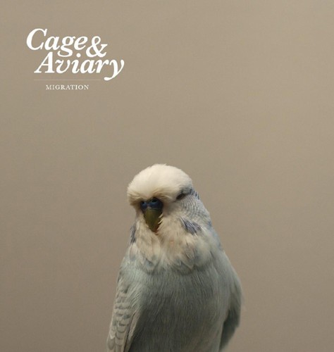 Migration, Cage & Aviary, New