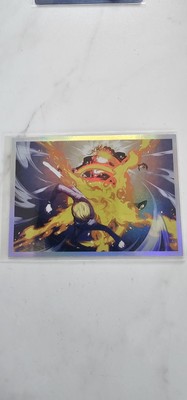 Panini One Piece 25th Anniversary Holo Karte Nr. 172 NM