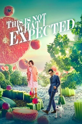 This Is Not What I Expected (2017) Movie Poster 2''x3'' Refrigerator Locker MAGNET
