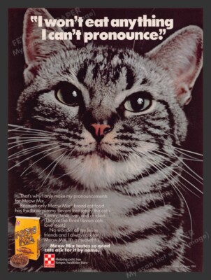 Purina Cat Food Ad delicate From 1964