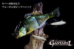 JACKALL-Blue-Gill-Big-Bait-GANTAREL