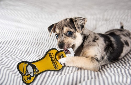 Pets First NHL Dental Tug Toy for Dogs & Cats Dog Chew Toy with Squeaker - Picture 33 of 35