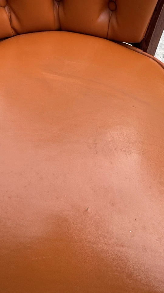 Silla contemporánea naranja quemada con patas de nogal rara  Foto 3 de 4