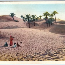 c1920s Africa Desert Sand Dunes Palm Trees Oasis Native People Postcard A340