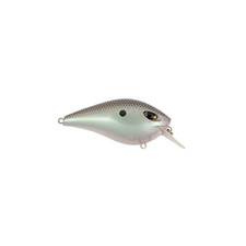 Duckett BD Squarebill Crankbait-