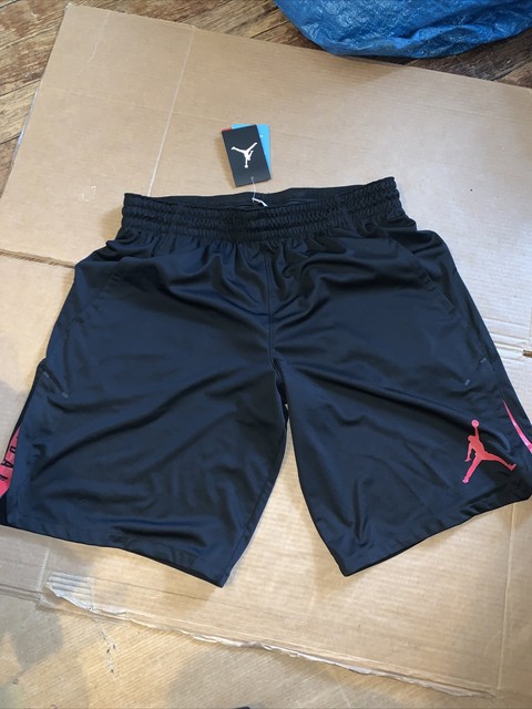 jordan 23 alpha dry knit short