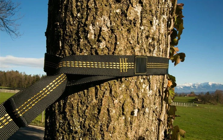 High Strength Premium Hammock Tree Straps(18 Loop adjustable)with carabiners/bag - Image 3 of 4