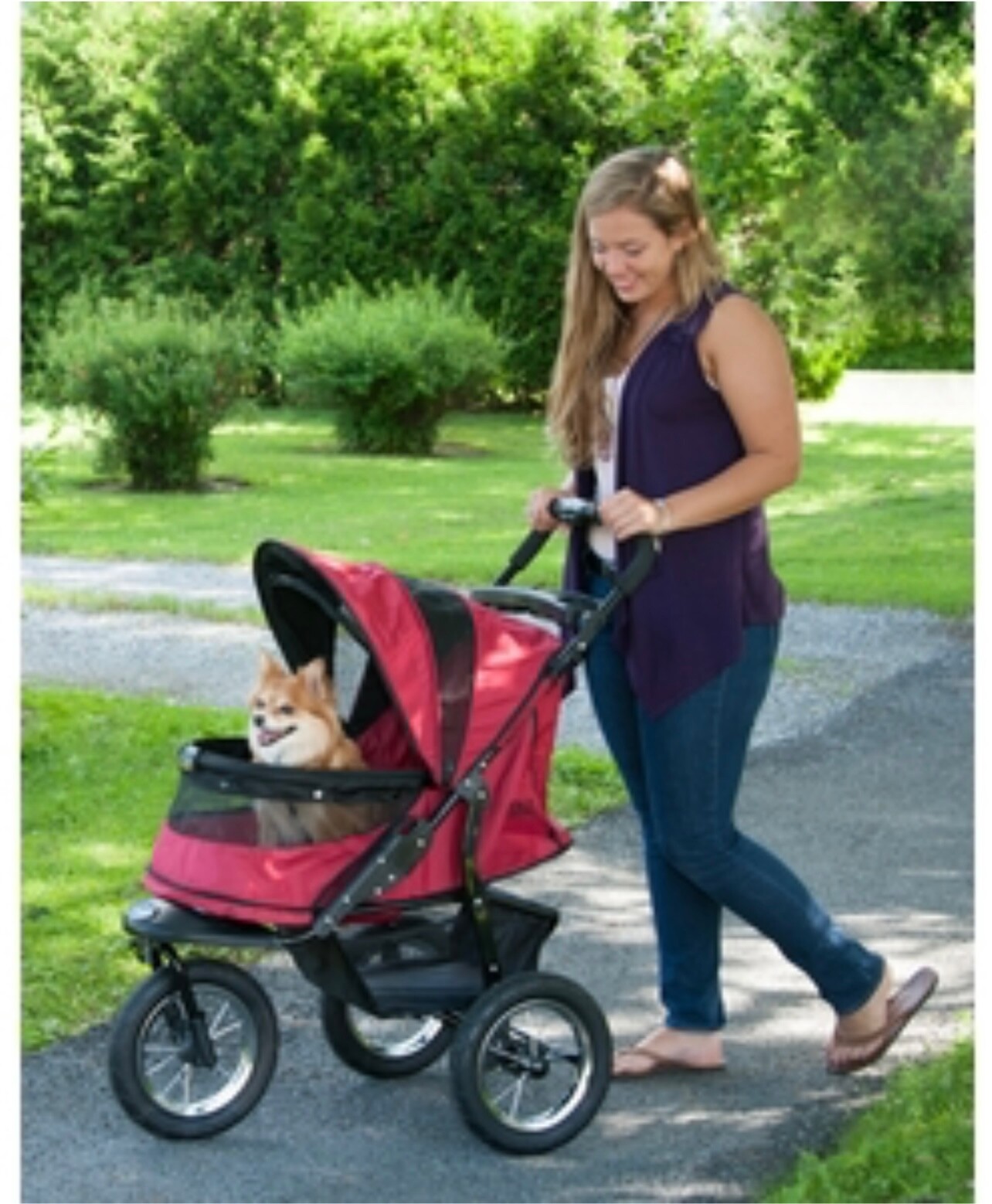 Pet Gear Jogger NoZip Pet Stroller Rugged Red NEW still sealed in the