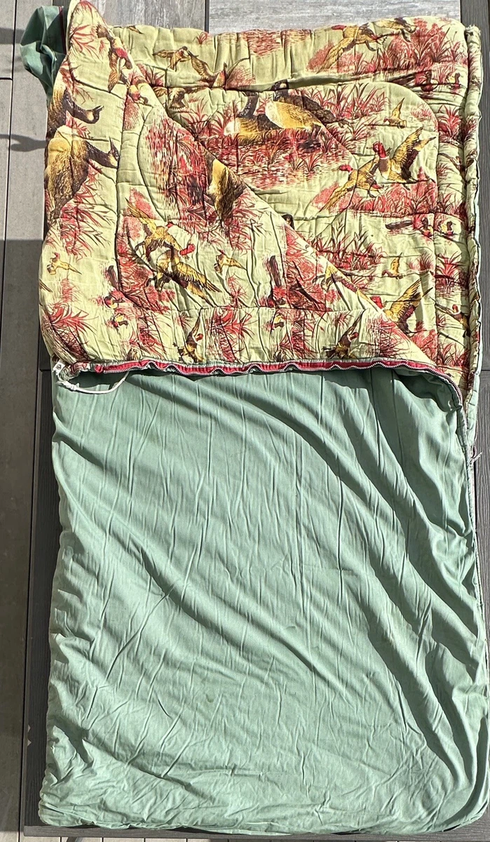 Discover 141+ coleman mummy sleeping bag latest esthdonghoadian