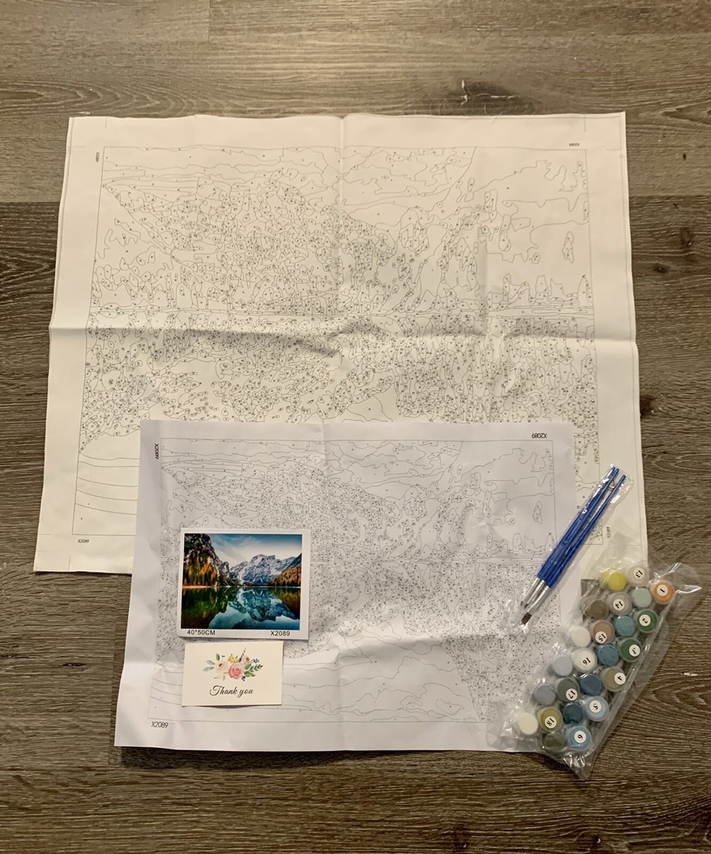 キングダム RARE 22” x 18” Paint by Number Mountains Lake Trees Snow Capped