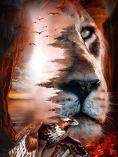 Animal 5D Diamond Painting Kits for Adults, Lion and Eagle Diamond Art Kits for