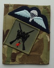 RAF Special Forces Support Group Para MTP Blanking Panel - Royal Air Force SFSG