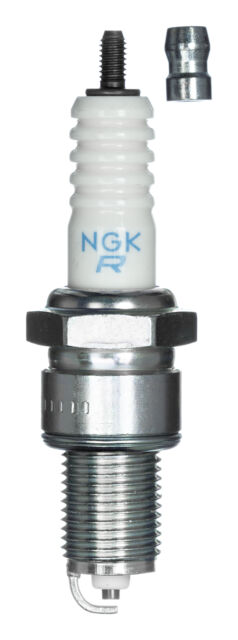 NGK BPR7ES (2023) Zündkerze spark plug NEU OVP