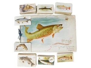 Vintage Large Collection of Fish Card Series and Book from Tobacco Companies