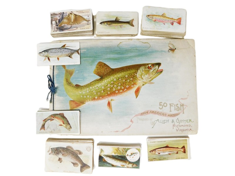 Vintage Large Collection of Fish Card Series and Book from Tobacco Companies