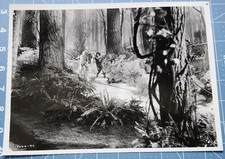 Vintage Original Judy Garland Cast Wizard of Oz Clarence S. Bull Photo 1939