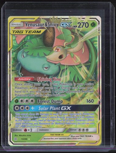 Venusaur & Snivy GX