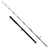 Penn Regiment Iv Jig 6FT 30-50Lb - Angelrute, Bootsrute, Meeresrute, Dorschrute