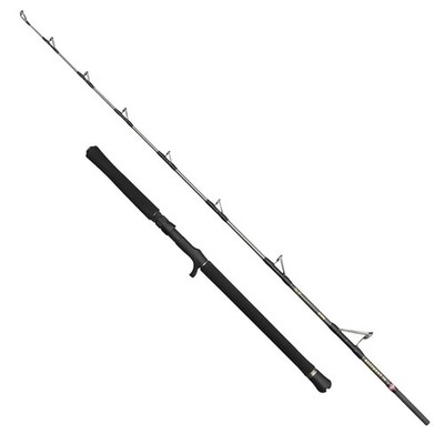 Penn Regiment IV Jig 6FT 30-50lb - Angelrute, Bootsrute, Meeresrute, Dorschrute