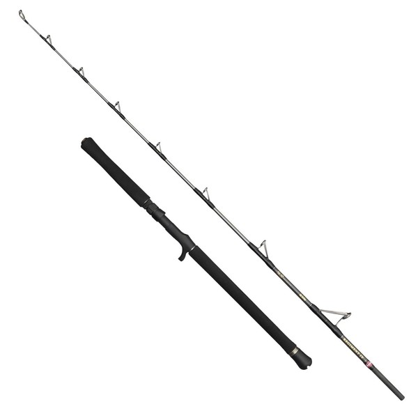 Penn Regiment Iv Jig 6FT 30-50Lb - Angelrute, Bootsrute, Meeresrute, Dorschrute-image