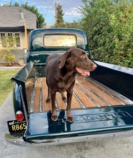 1952 Chevrolet 3100 