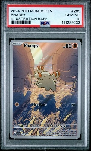 2024 Pokemon SSP EN-Surging Sparks Phanpy #205 Illustration Rare PSA 10