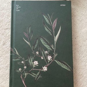 Astro All Light | eBay