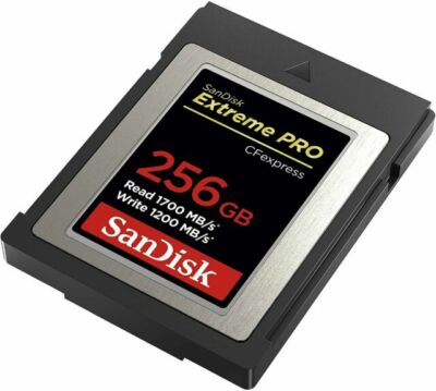 SanDisk 256GB Extreme PRO CFexpress Card Type B - SDCFE-256G-GN4IN