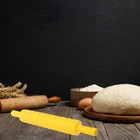 Bild 11 von 12