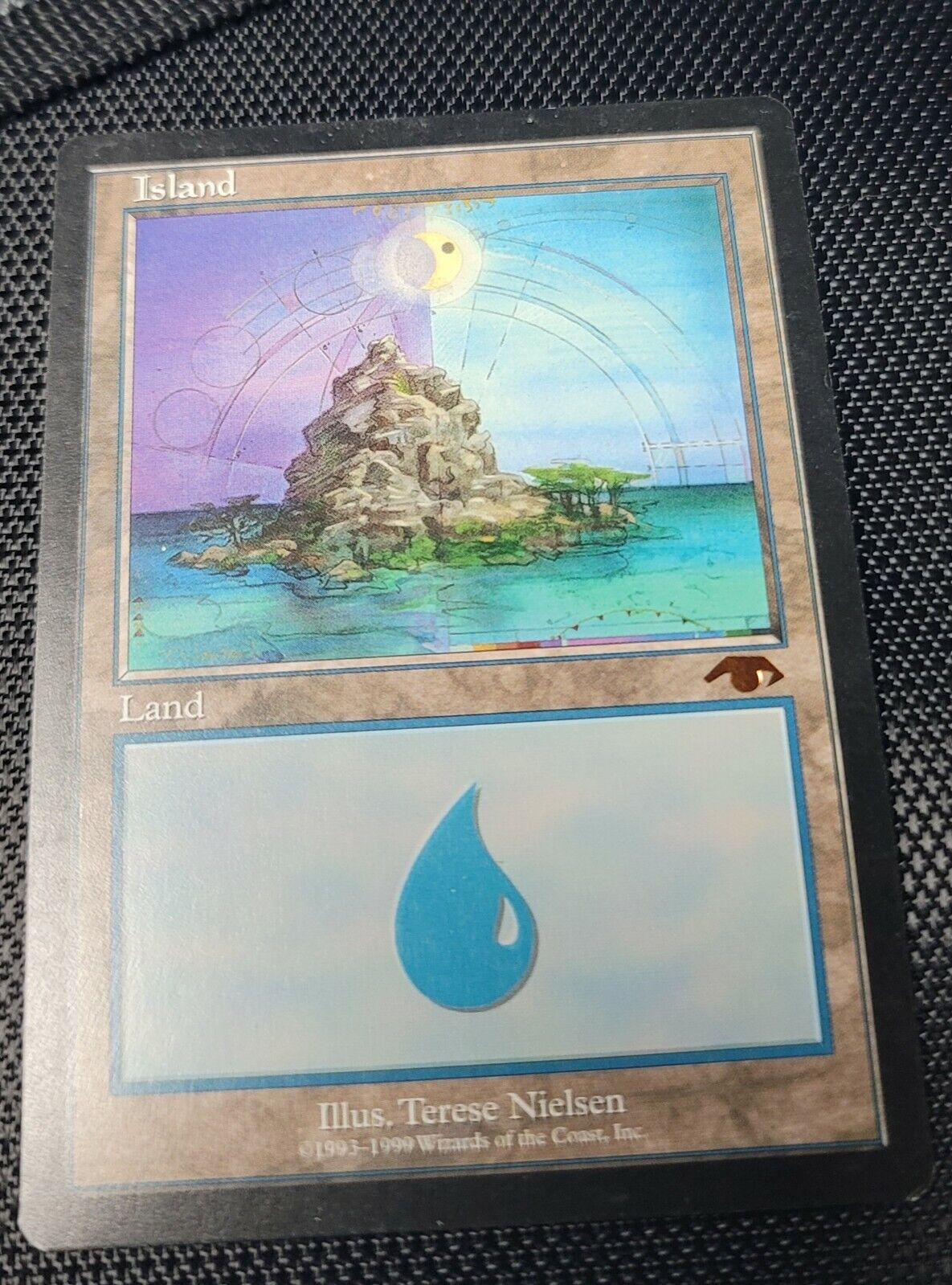 Guru Island Terese Nielsen Magic the Gathering MTG Basic Land SP/NM-